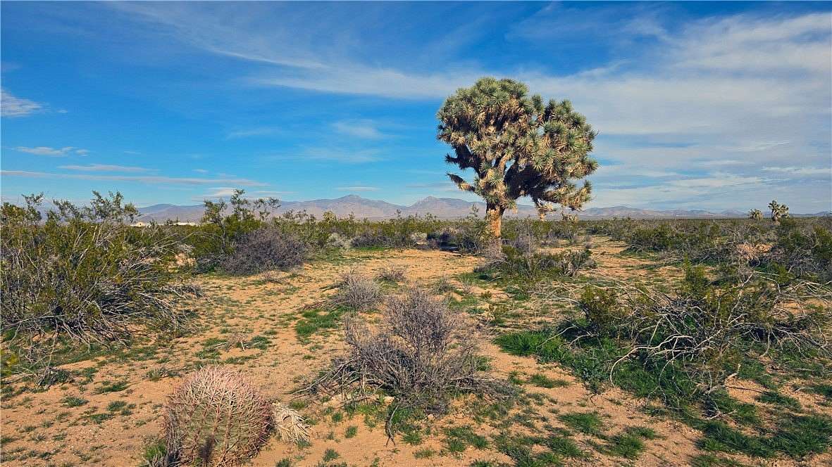 40.2 Acres of Recreational Land for Sale in Yucca, Arizona