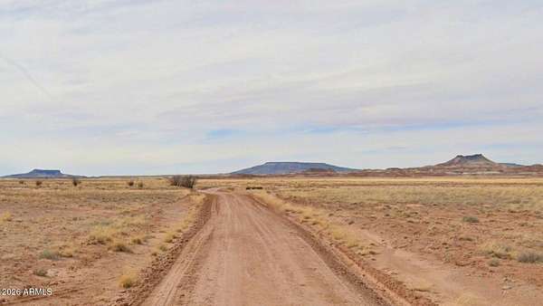 80.3 Acres of Land for Sale in Winslow, Arizona