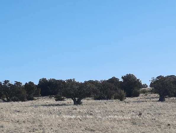 37.2 Acres of Recreational Land & Farm for Sale in Seligman, Arizona