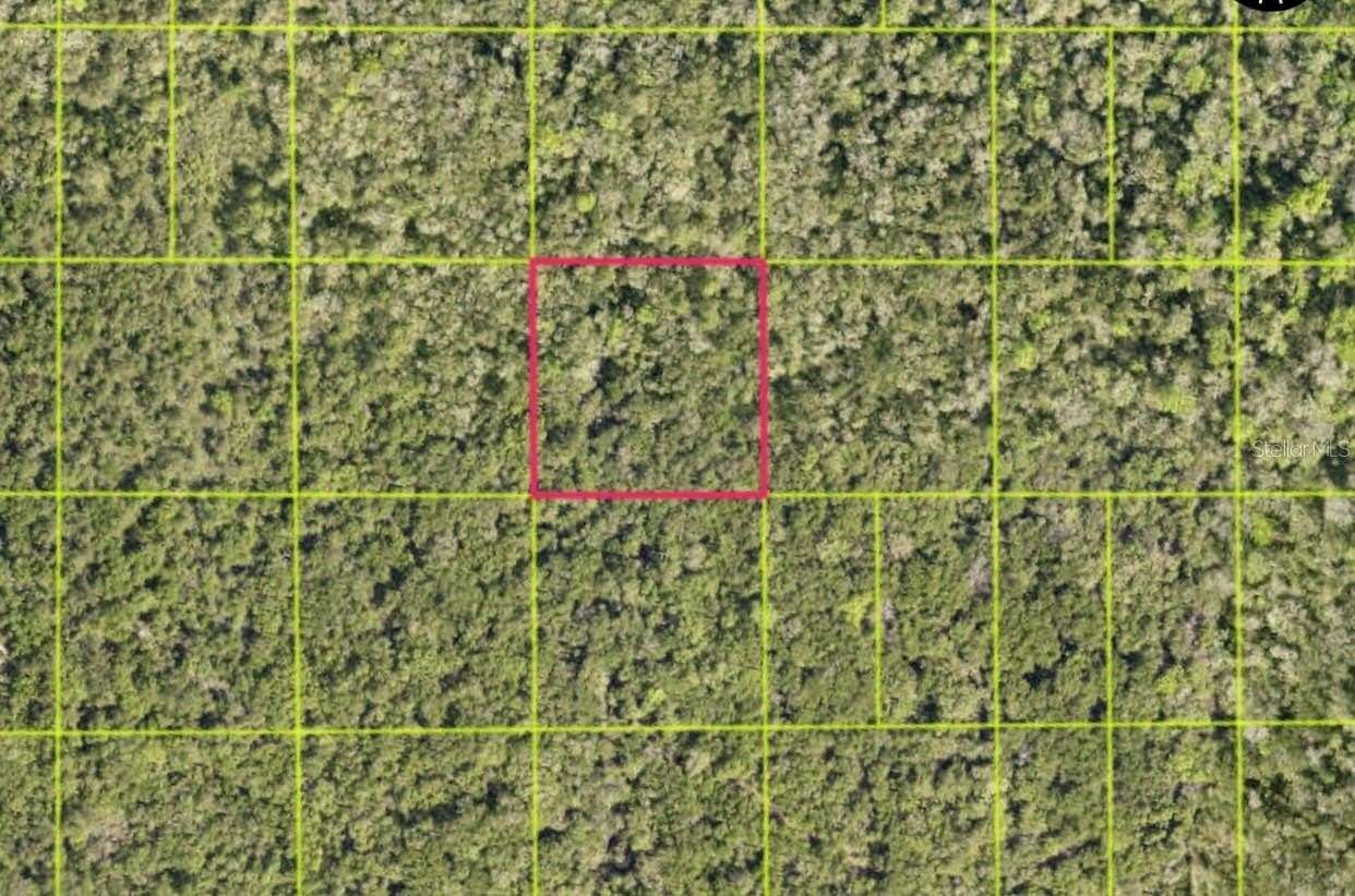 2.5 Acres of Residential Land for Sale in Oak Hill, Florida