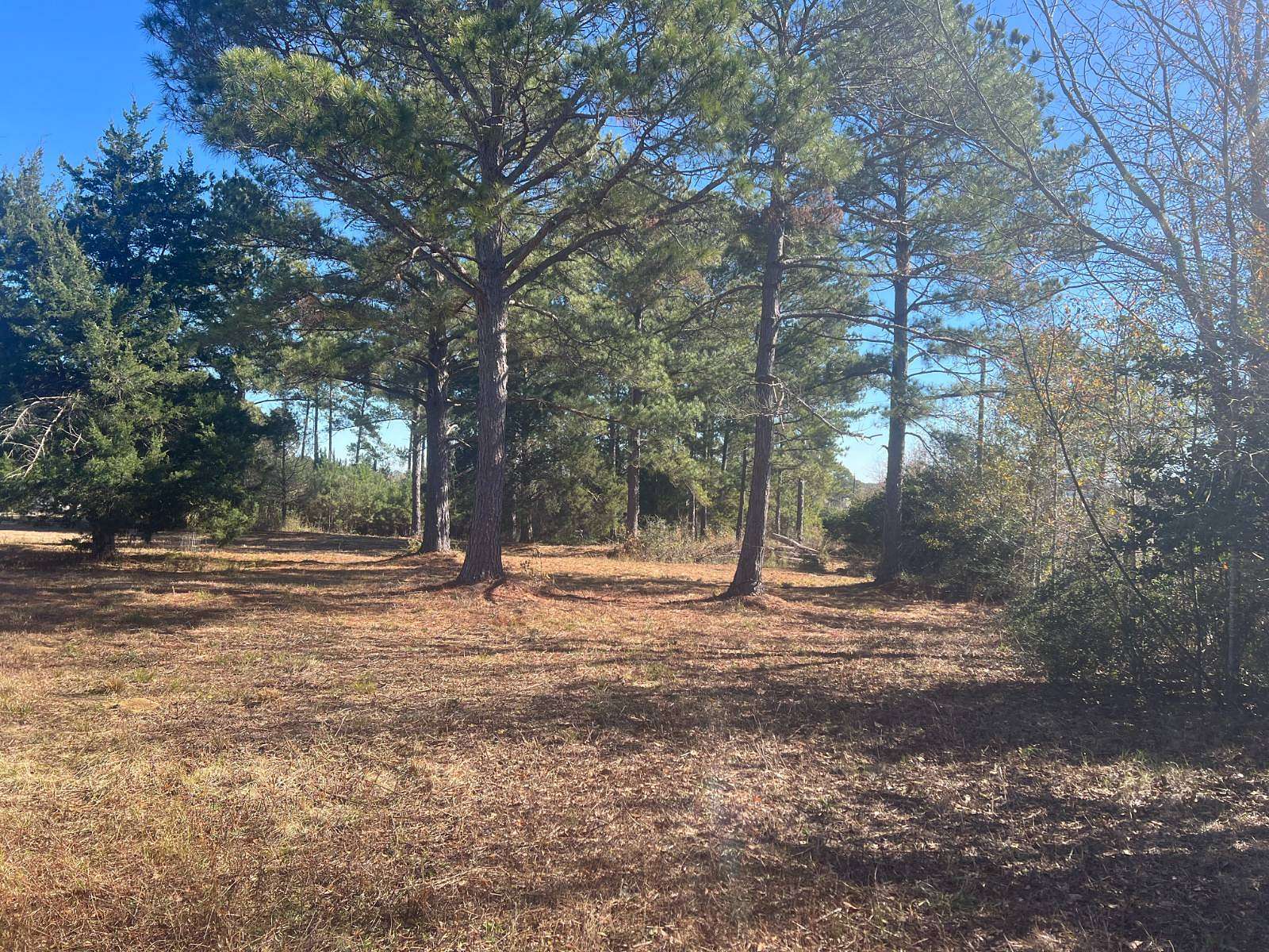 1.22 Acres of Land for Sale in Bonifay, Florida