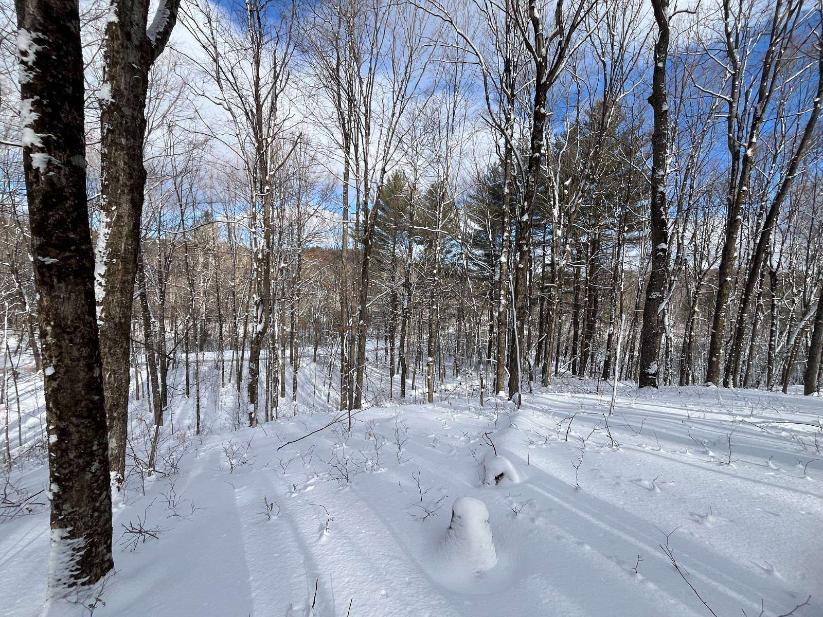 12.1 Acres of Recreational Land for Sale in Hermon, New York