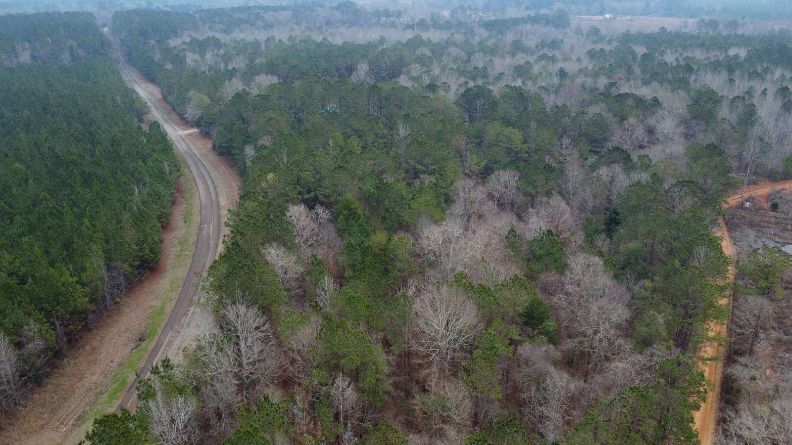 35 Acres of Recreational Land for Sale in Georgiana, Alabama