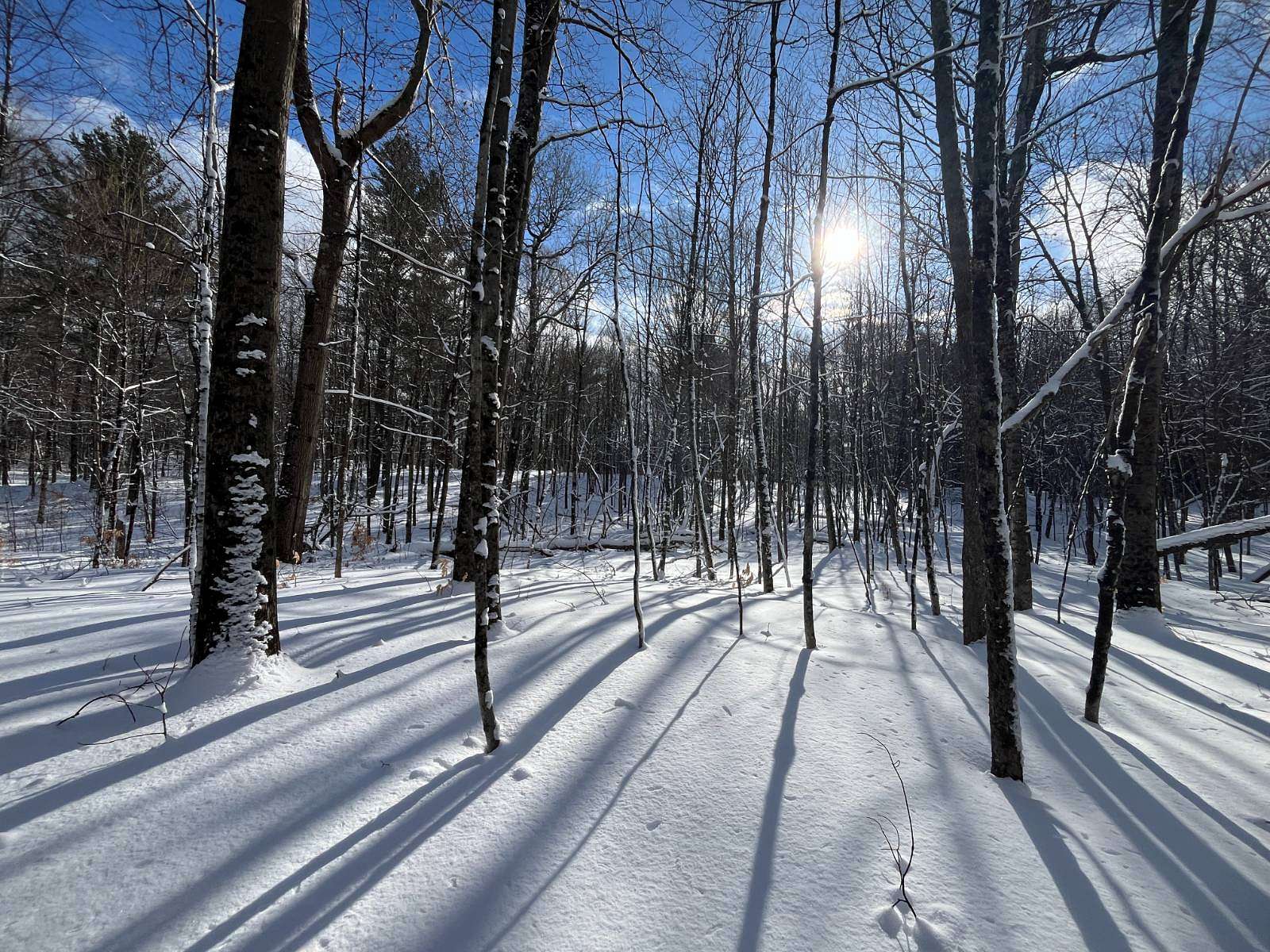 5.38 Acres of Land for Sale in Hermon, New York