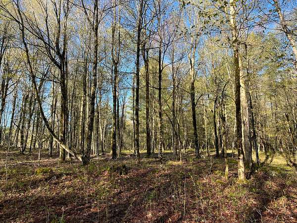 5.38 Acres of Land for Sale in Hermon, New York