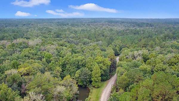 201 Acres of Mixed-Use Land for Auction in Townsend, Georgia