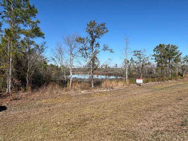 30 Acres of Mixed-Use Land for Auction in Lakeland, Georgia