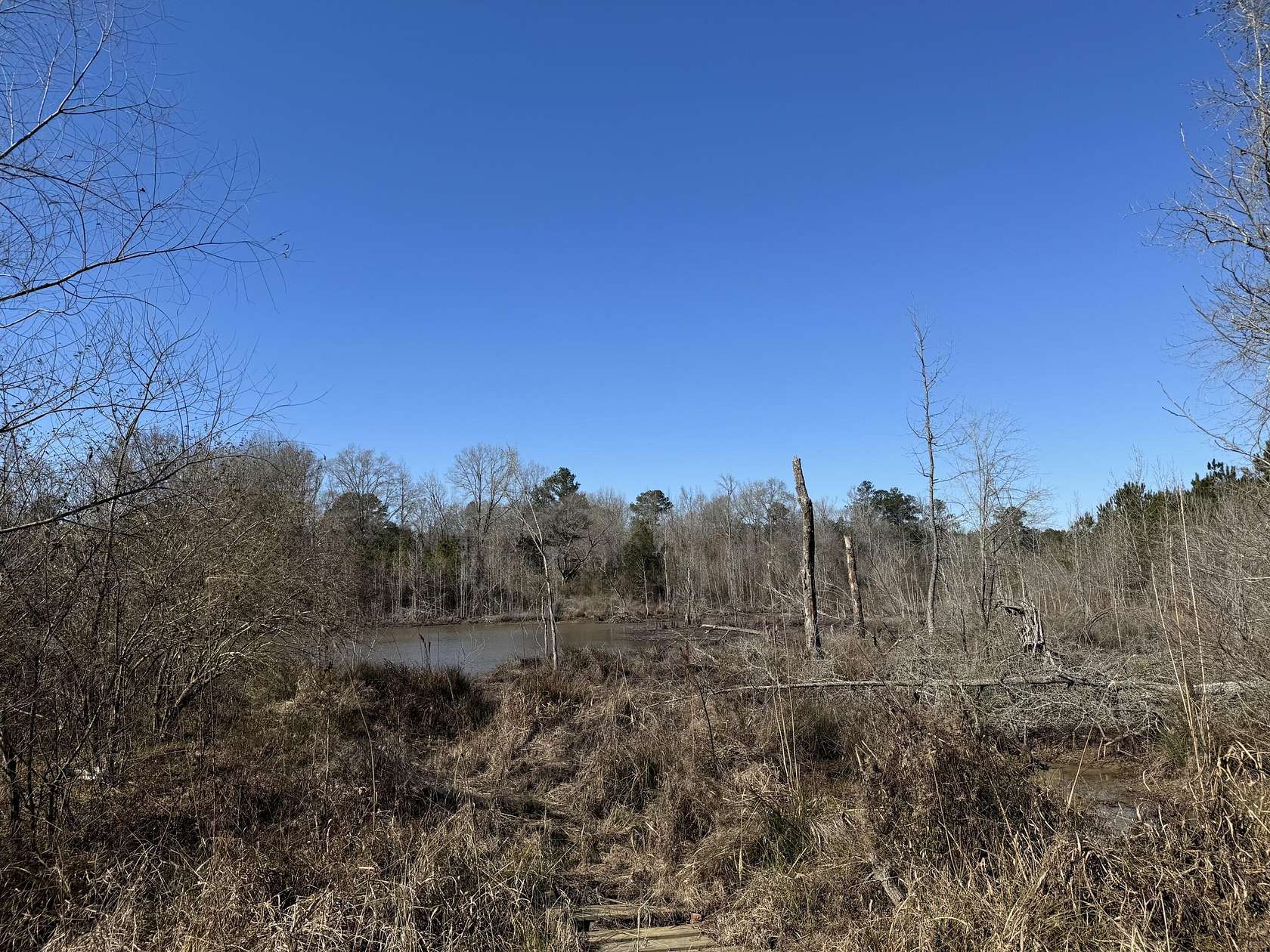 10.6 Acres of Land for Sale in Columbus, Mississippi