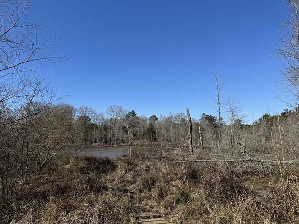 10.6 Acres of Land for Sale in Columbus, Mississippi