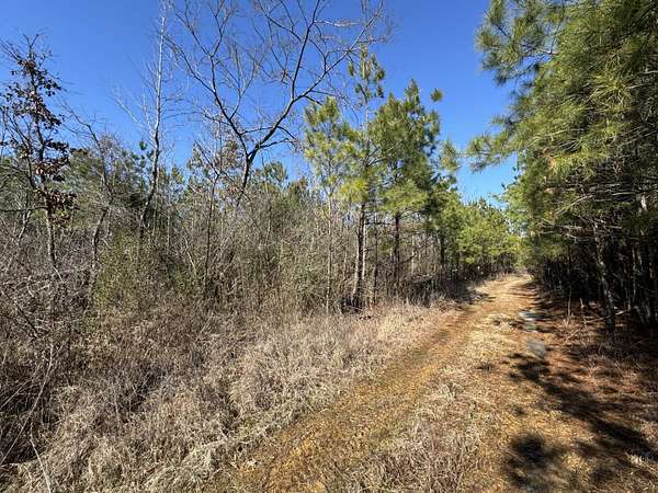 9.5 Acres of Residential Land for Sale in Columbus, Mississippi