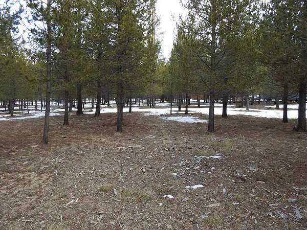 0.96 Acres of Residential Land for Sale in La Pine, Oregon