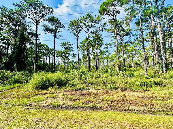 2 Acres of Residential Land for Sale in Eastpoint, Florida