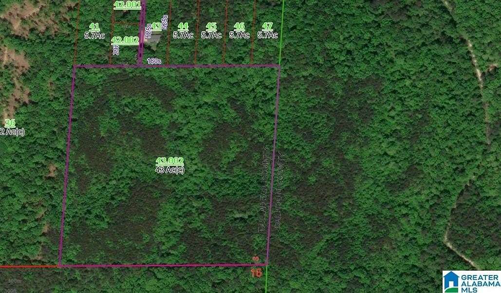 41 Acres of Recreational Land for Sale in Oxford, Alabama