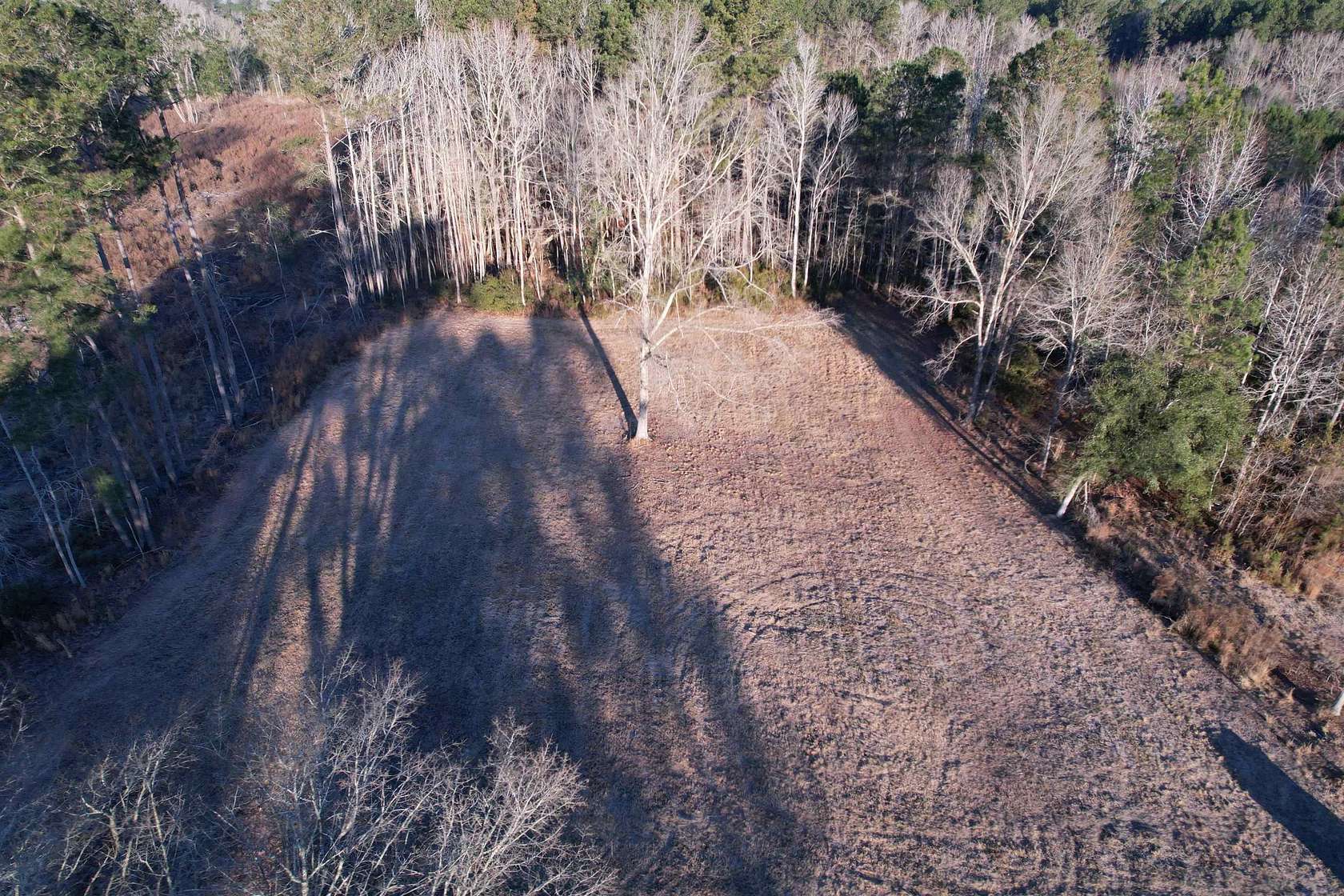 2 Acres of Residential Land for Sale in Salters, South Carolina