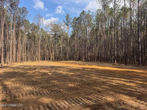 14.2 Acres of Land for Sale in Canton, Mississippi