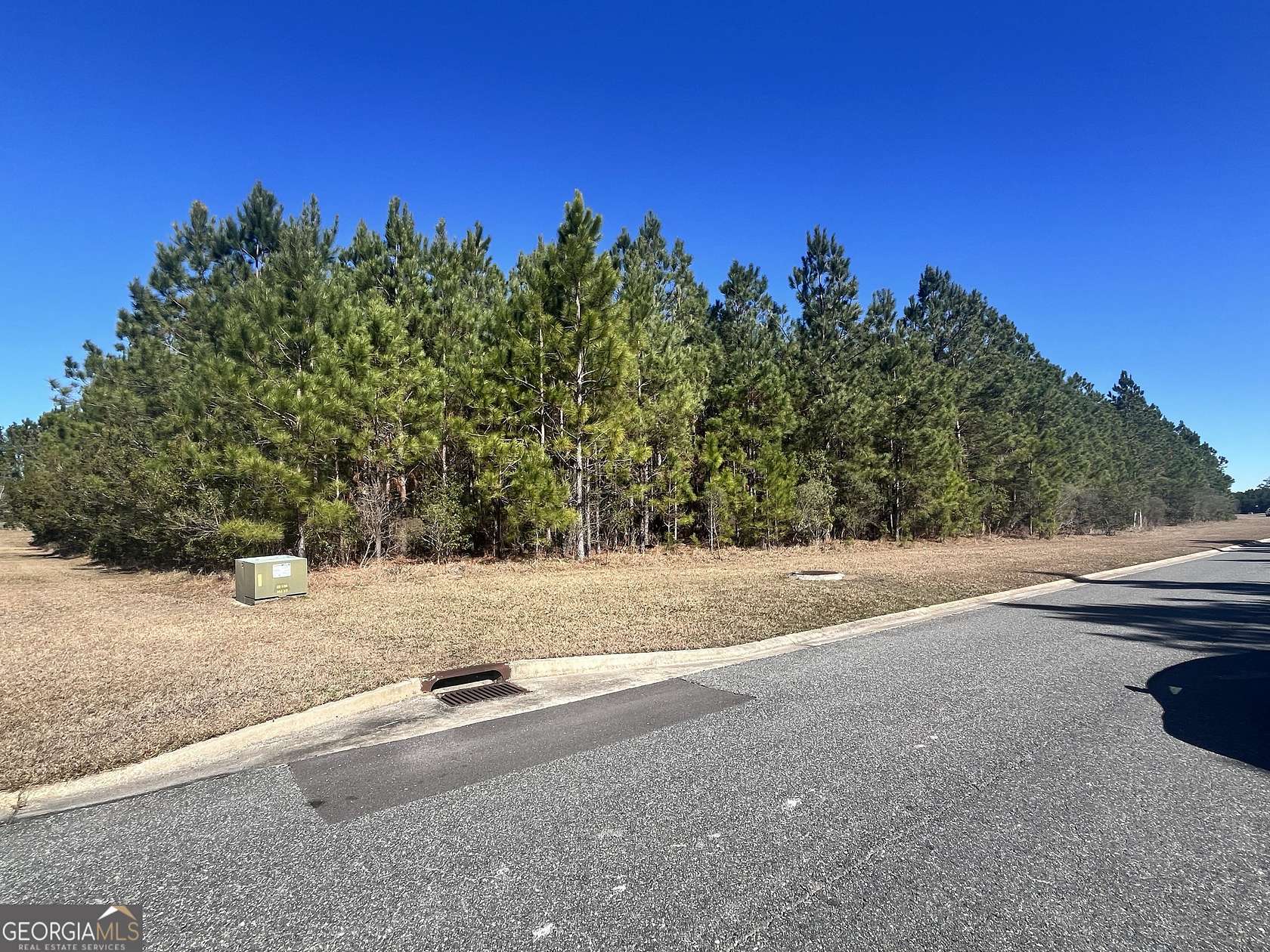 1.32 Acres of Residential Land for Sale in Kingsland, Georgia