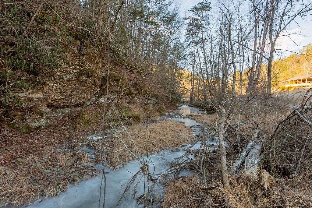 40 Acres of Recreational & Residential Land for Sale in Bland, Virginia
