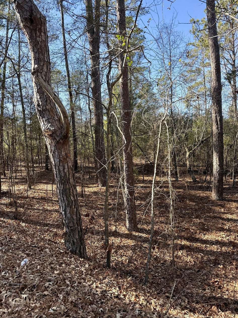 5 Acres of Residential Land for Sale in Aiken, South Carolina