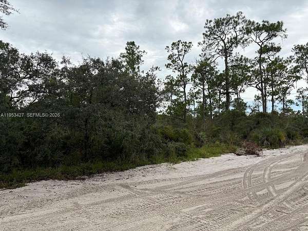1 Acre of Residential Land for Sale in Sebring, Florida
