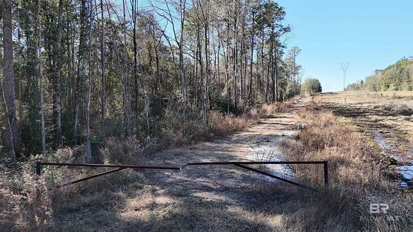 22.9 Acres of Recreational Land for Sale in Saraland, Alabama