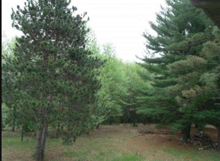 1.49 Acres of Residential Land for Sale in Weyauwega, Wisconsin
