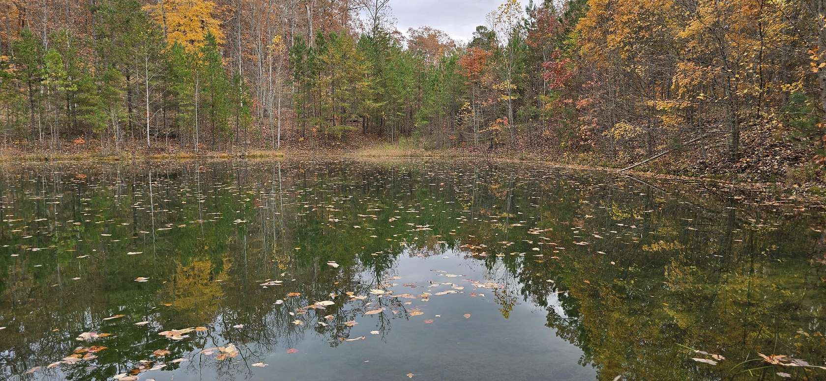 17 Acres of Land for Sale in Dunlap, Tennessee