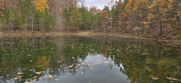 17 Acres of Land for Sale in Dunlap, Tennessee