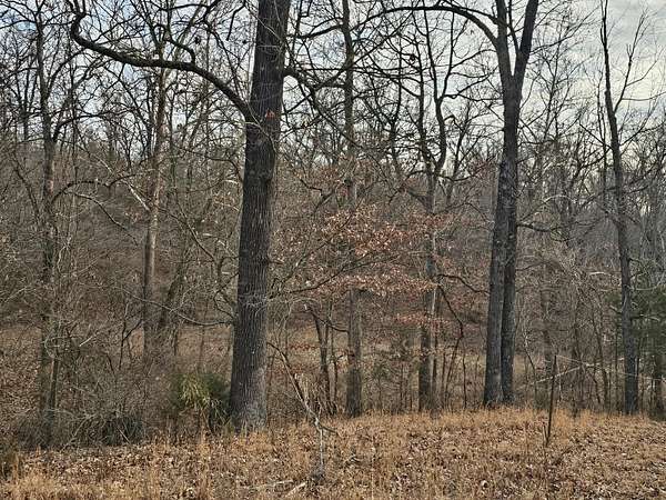7.59 Acres of Residential Land for Sale in Neosho, Missouri