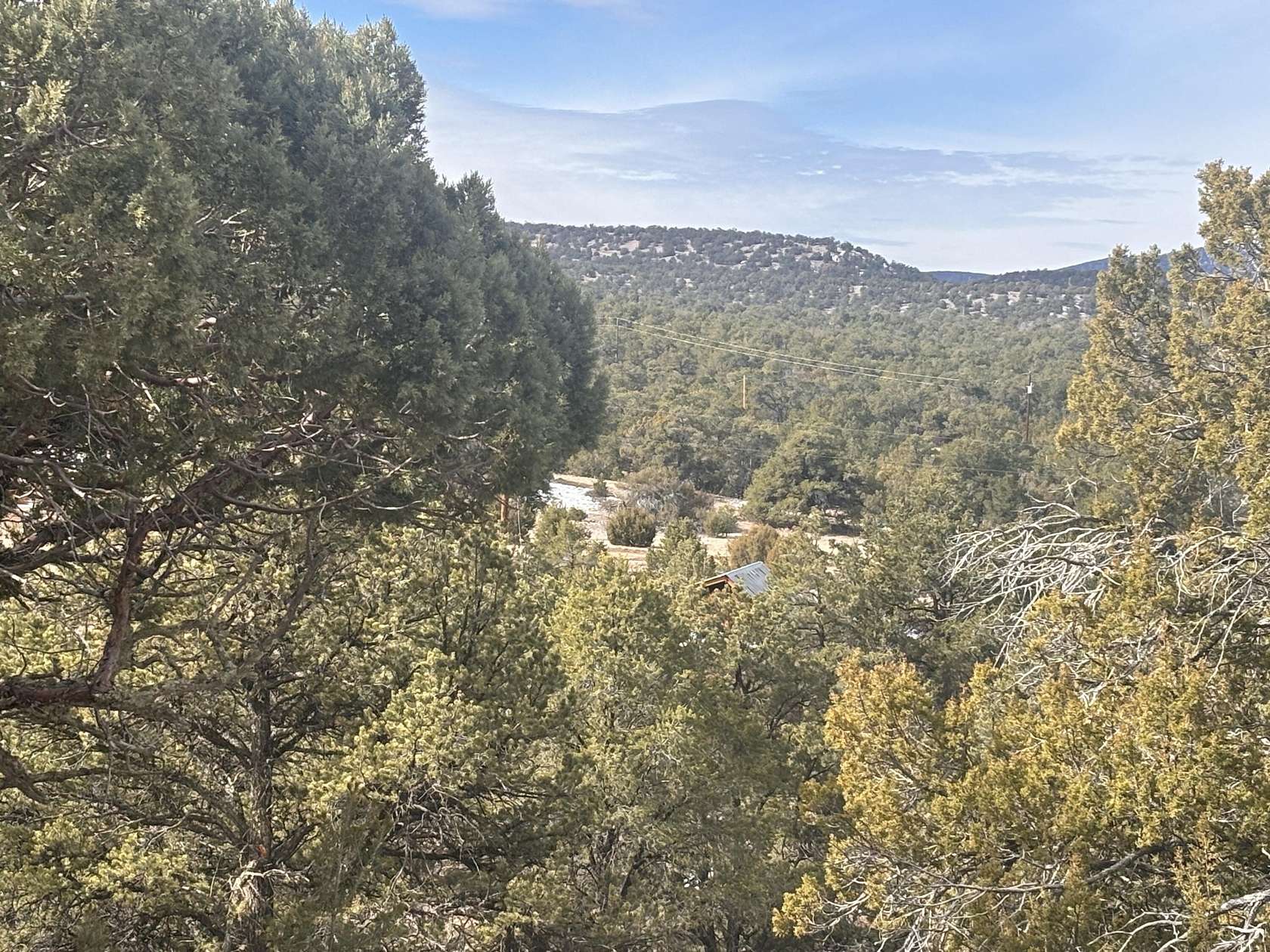 15 Acres of Land for Sale in Datil, New Mexico