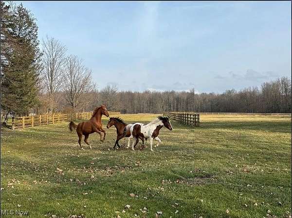 21.4 Acres of Land for Sale in Windham, Ohio