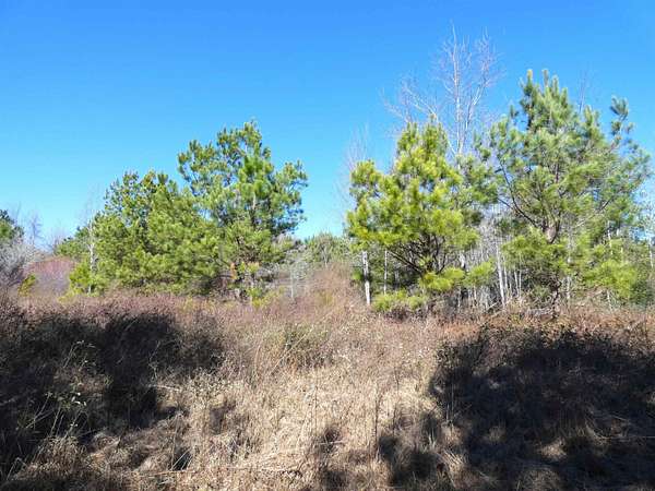10 Acres of Agricultural Land for Sale in Monticello, Florida
