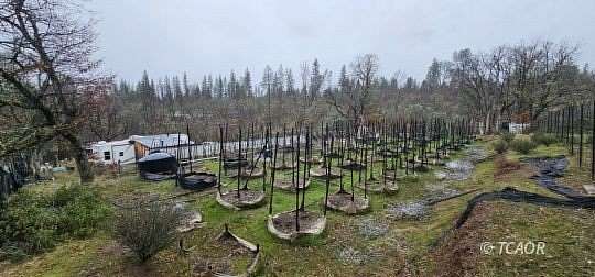 2.56 Acres of Residential Land for Sale in Hayfork, California