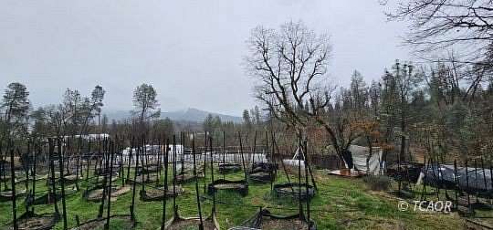 2.56 Acres of Residential Land for Sale in Hayfork, California