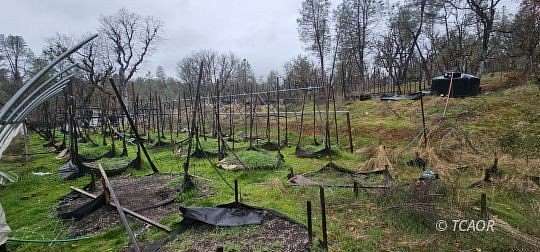 2.56 Acres of Residential Land for Sale in Hayfork, California