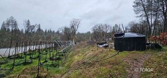 2.56 Acres of Residential Land for Sale in Hayfork, California