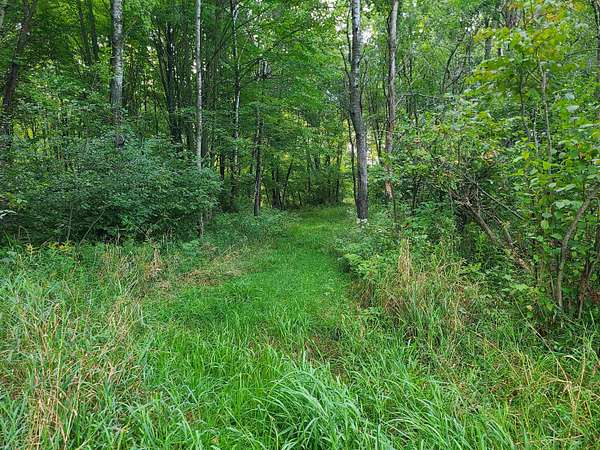 36.5 Acres of Recreational Land for Sale in Athens, Wisconsin