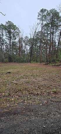 0.21 Acres of Residential Land for Sale in Brookeland, Texas