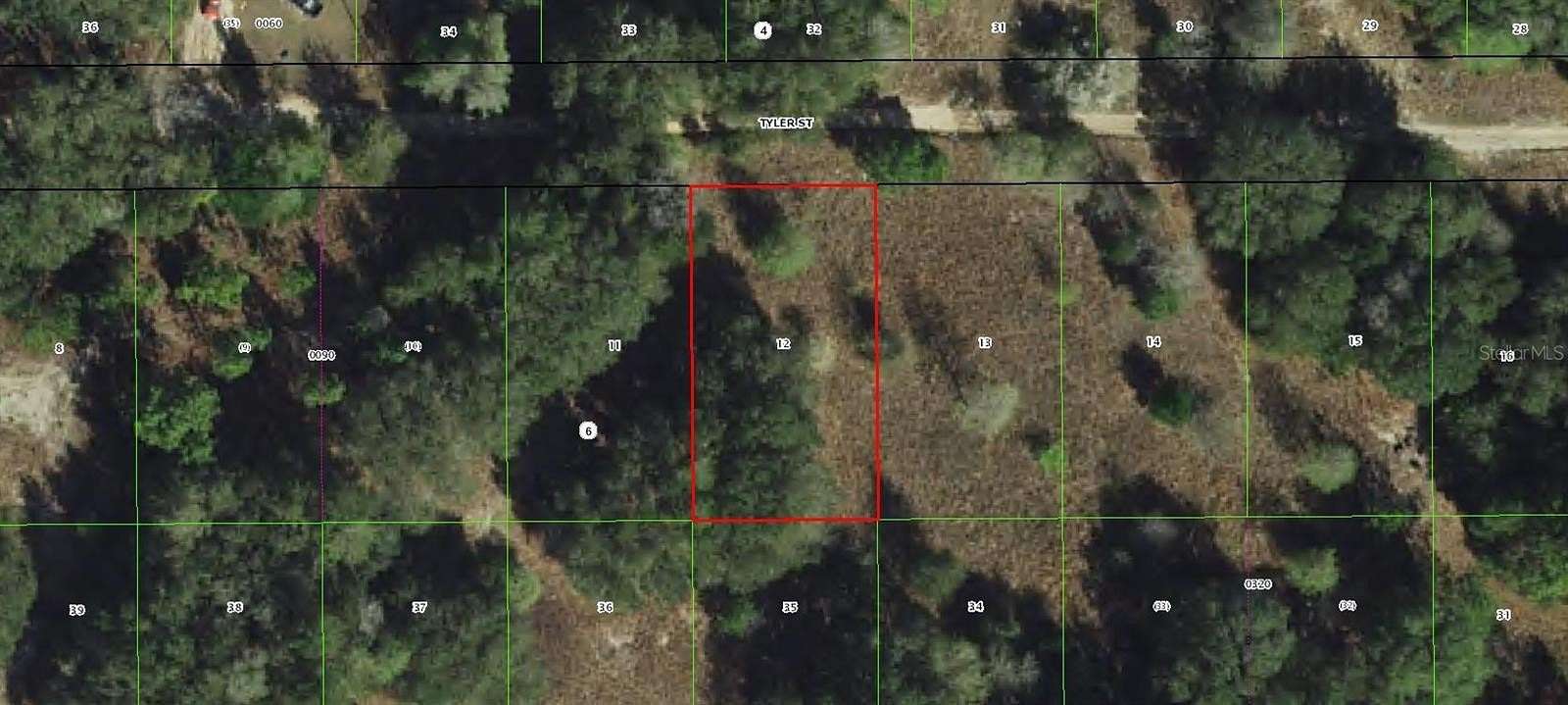 0.23 Acres of Land for Sale in Inverness, Florida