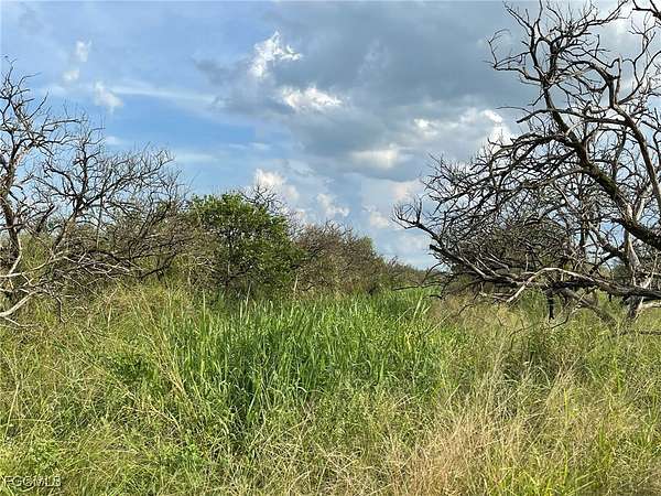 33.8 Acres of Agricultural Land for Sale in LaBelle, Florida