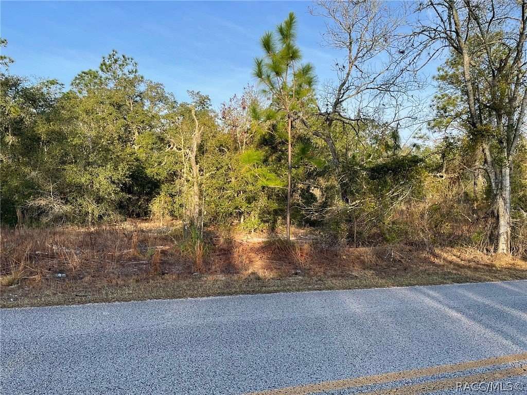 1 Acre of Residential Land for Sale in Dunnellon, Florida