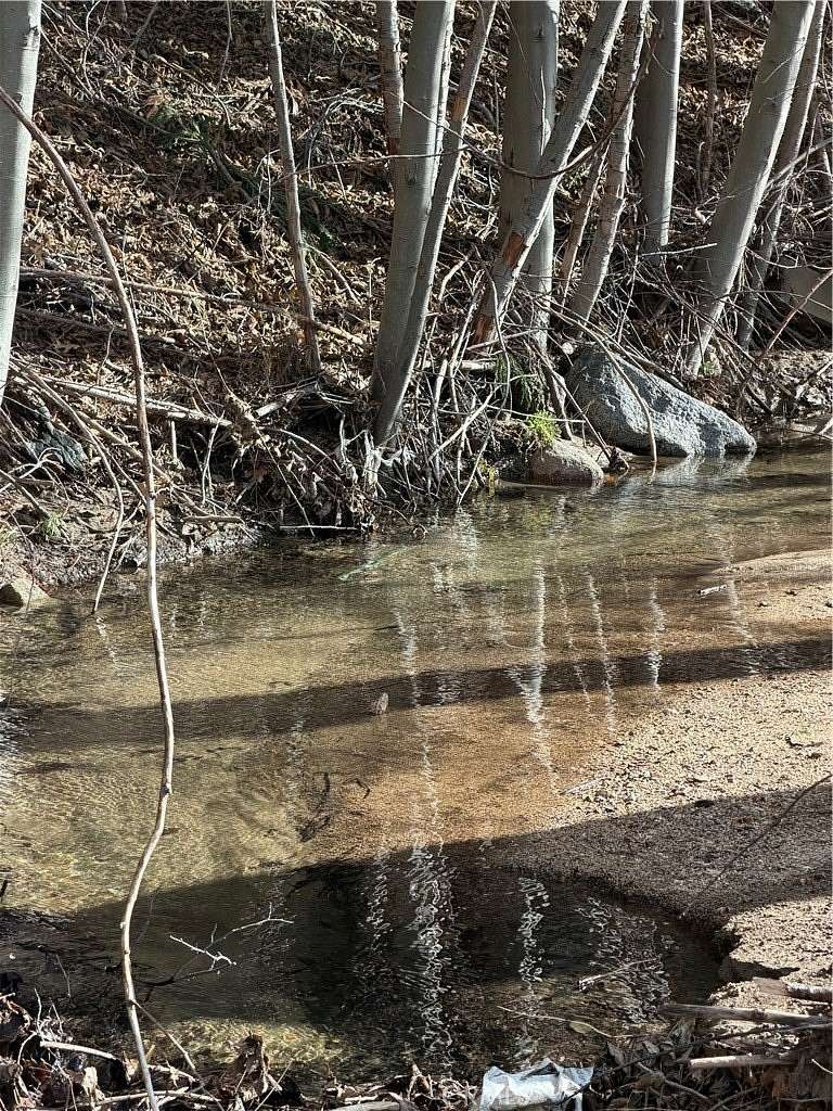 0.35 Acres of Residential Land for Sale in Cedar Glen, California