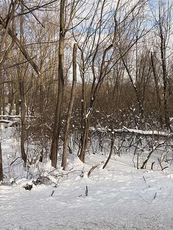 1 Acre of Land for Sale in Chesterton, Indiana