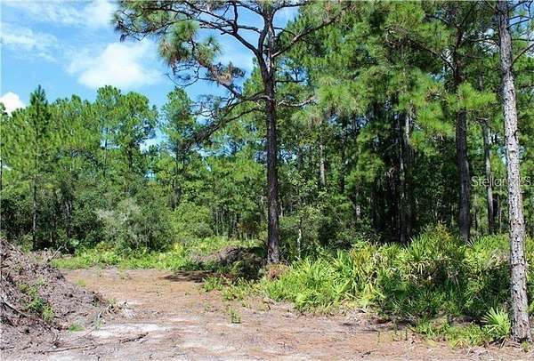 1.15 Acres of Residential Land for Sale in Eustis, Florida