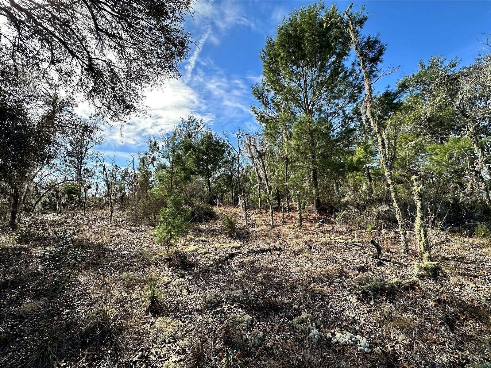 0.23 Acres of Residential Land for Sale in Williston, Florida