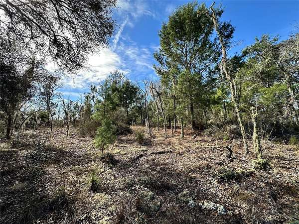 0.23 Acres of Residential Land for Sale in Williston, Florida