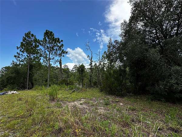 0.23 Acres of Residential Land for Sale in Williston, Florida