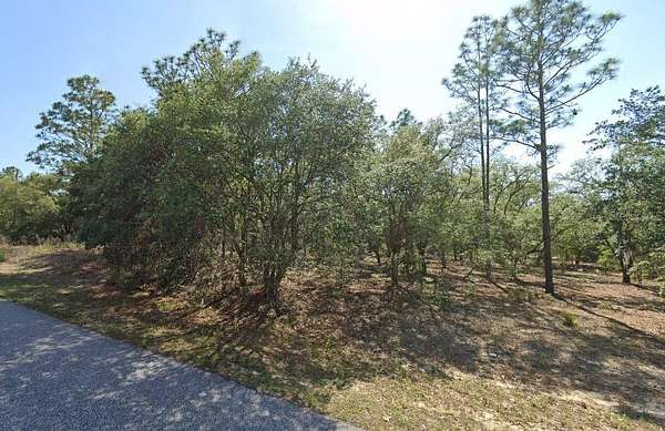 0.23 Acres of Residential Land for Sale in Citrus Springs, Florida