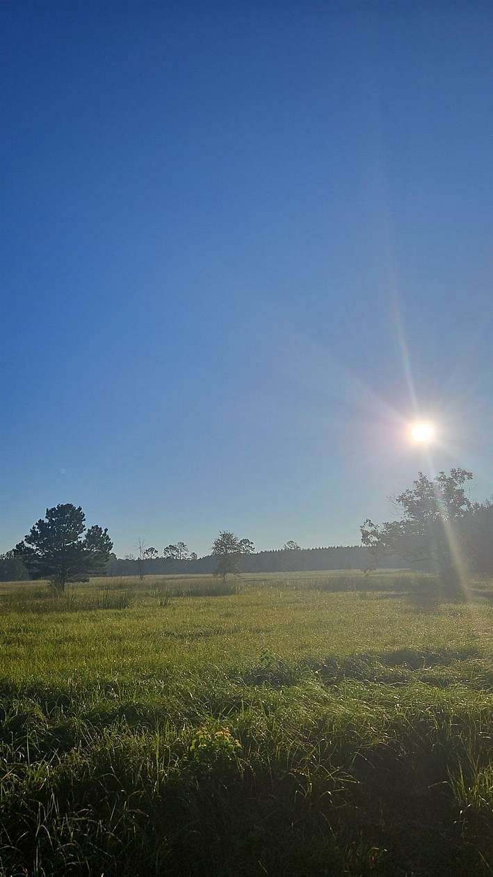 10 Acres of Land for Sale in Buna, Texas