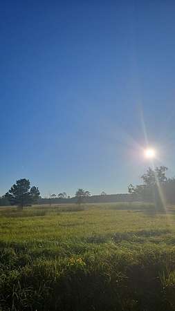 10 Acres of Recreational & Residential Land for Sale in Buna, Texas