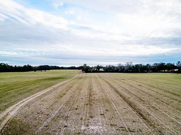 10 Acres of Residential Land for Sale in Chiefland, Florida